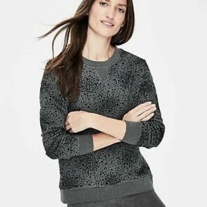 Boden Star Velvet Arabella Crewneck Sweatshirt